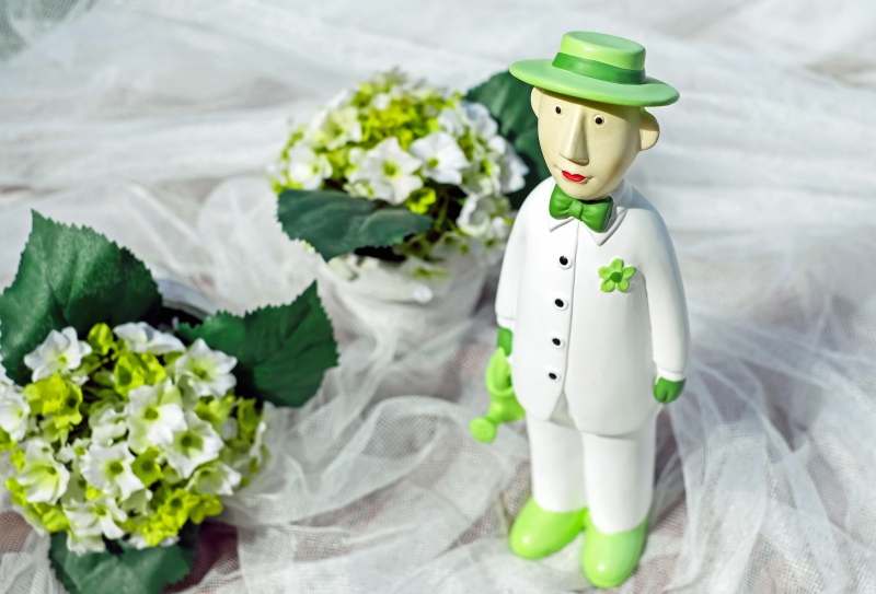 vitrine-LA COLLE SUR LOUP-min_man-person-flower-green-toy-fig-546529-pxhere.com